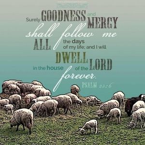 Meet your Posher, Dora